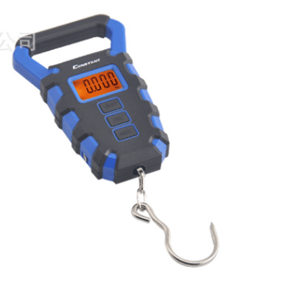 Electronic Waterproof Hook Scale for Fishing & Groceries - NZ Tackle