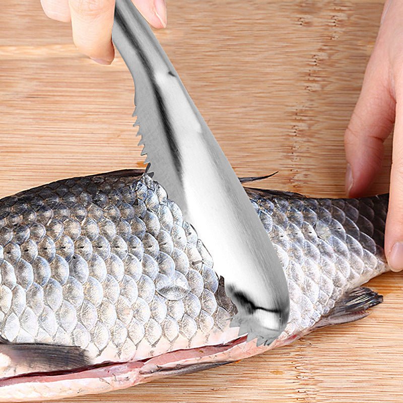 Stainless Steel Fish Scale Remover Tool - NZ Tackle
