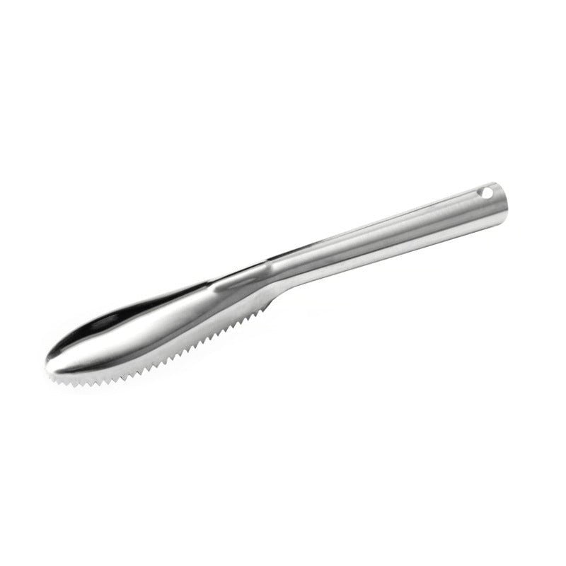 Stainless Steel Fish Scale Remover Tool - NZ Tackle